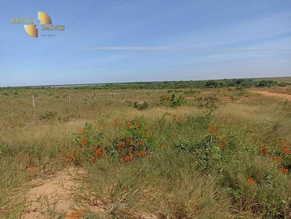 Fazenda à venda de 2.600 ha em Paranatinga, MT, Brasil