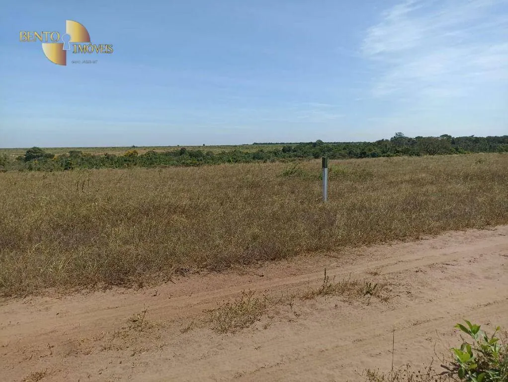 Fazenda à venda de 2.600 ha em Paranatinga, MT, Brasil