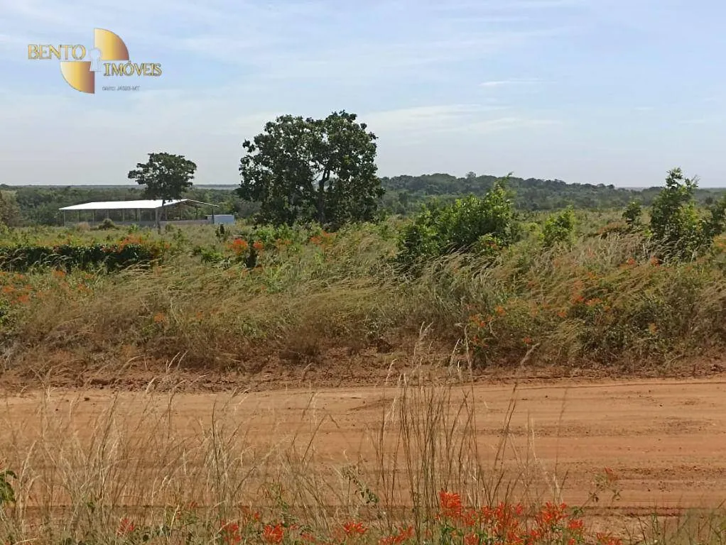 Fazenda à venda de 2.600 ha em Paranatinga, MT, Brasil