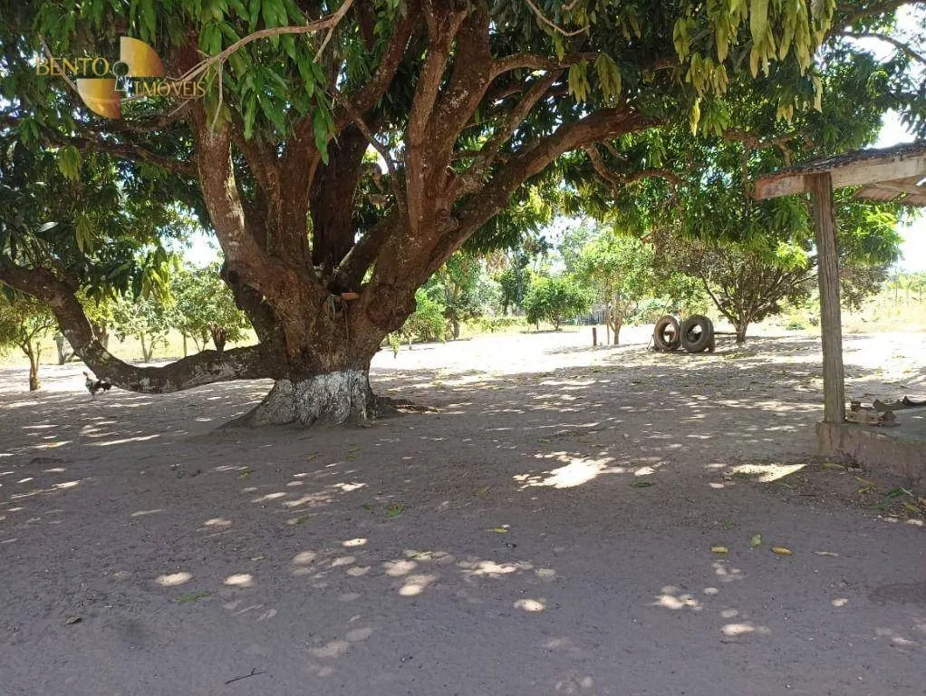 Fazenda à venda de 2.600 ha em Paranatinga, MT, Brasil