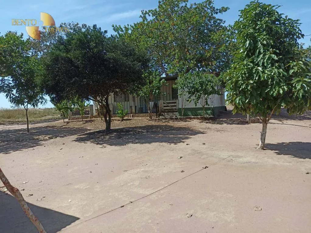 Fazenda à venda de 2.600 ha em Paranatinga, MT, Brasil
