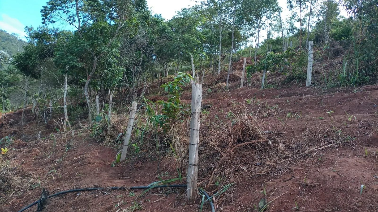 Chácara à venda de 3 ha em Monteiro Lobato, SP, Brasil