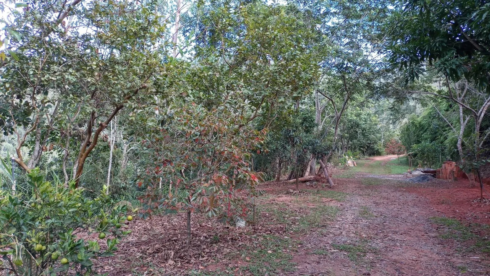 Chácara à venda de 3 ha em Monteiro Lobato, SP, Brasil