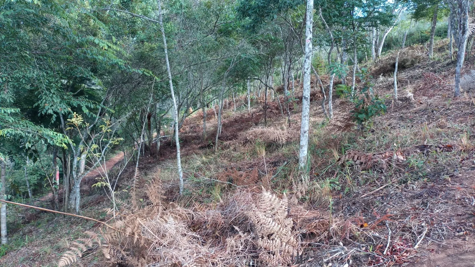 Chácara à venda de 3 ha em Monteiro Lobato, SP, Brasil