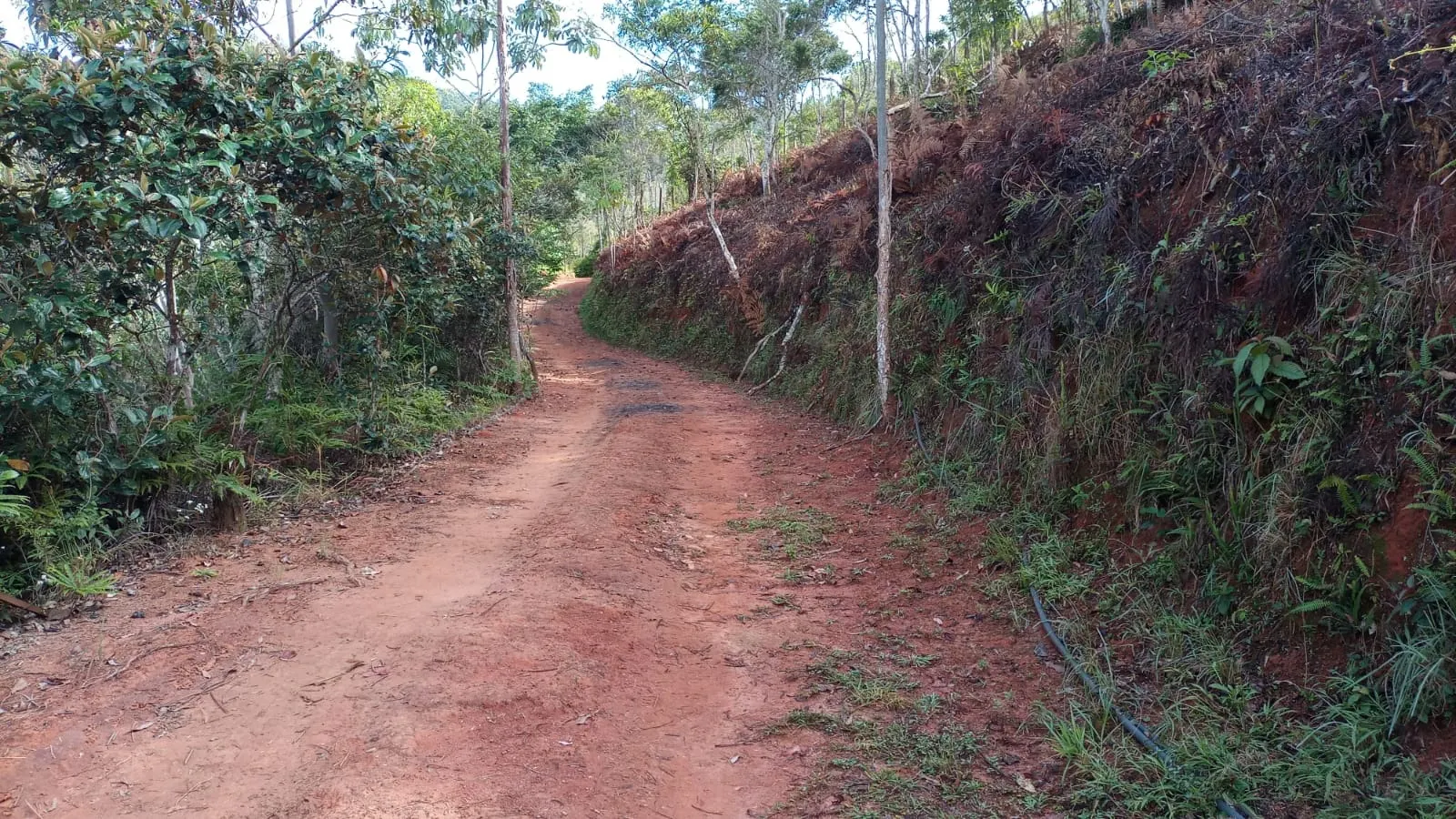 Chácara à venda de 3 ha em Monteiro Lobato, SP, Brasil