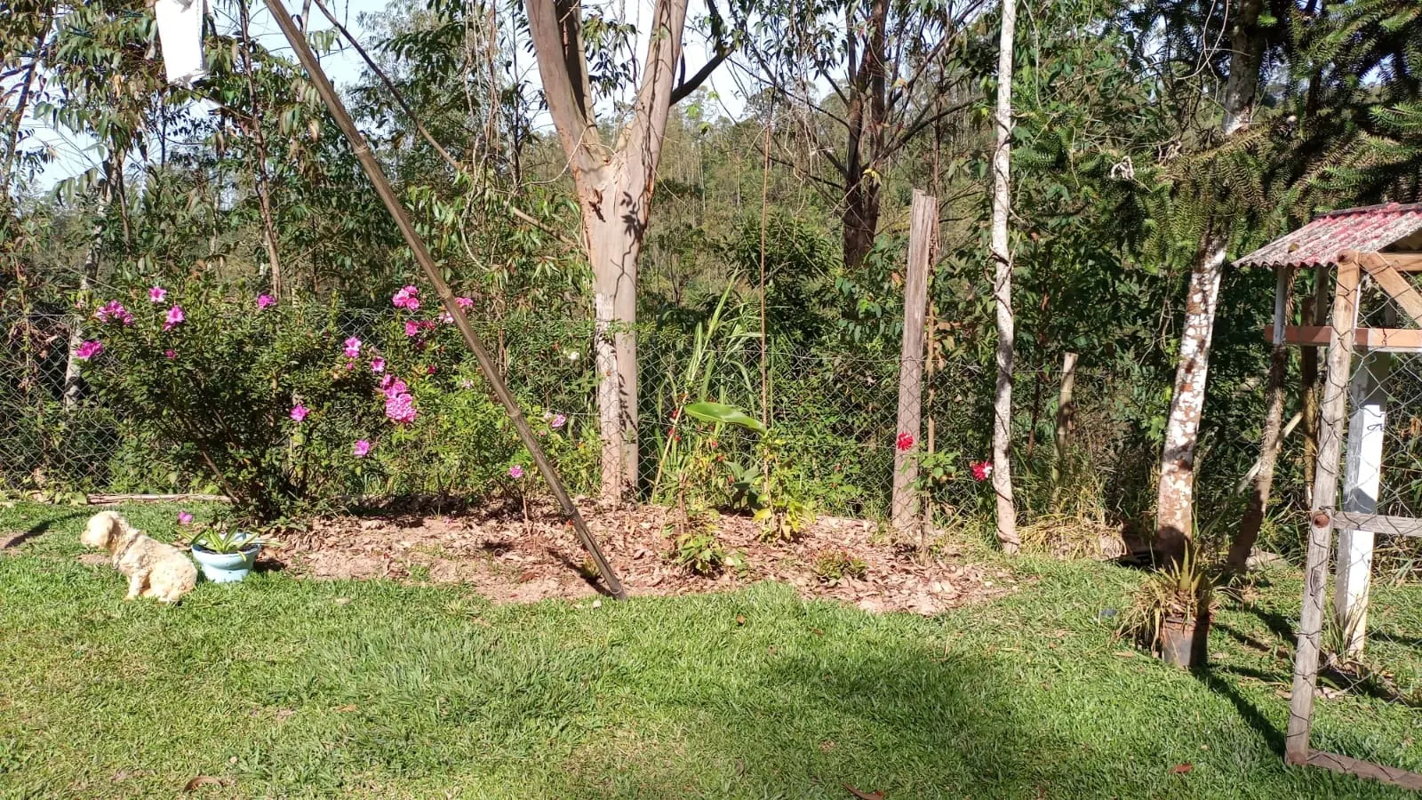 Chácara à venda de 3 ha em Monteiro Lobato, SP, Brasil