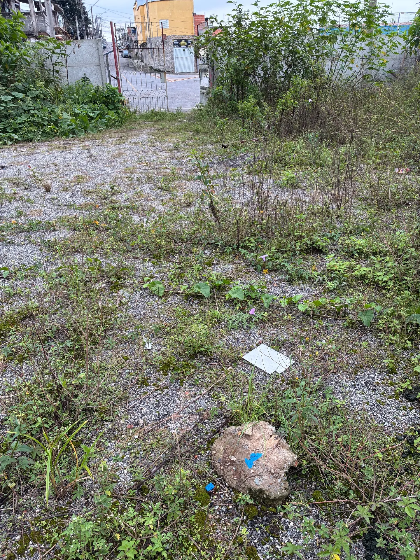 Chácara para Arrendar de 2.600 m² em Suzano, SP, Brasil