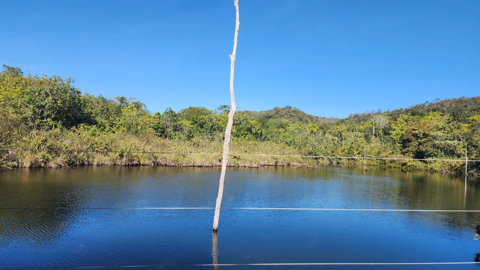Fazenda à venda de 8.100 ha em Alto Paraíso de Goiás, GO, Brasil