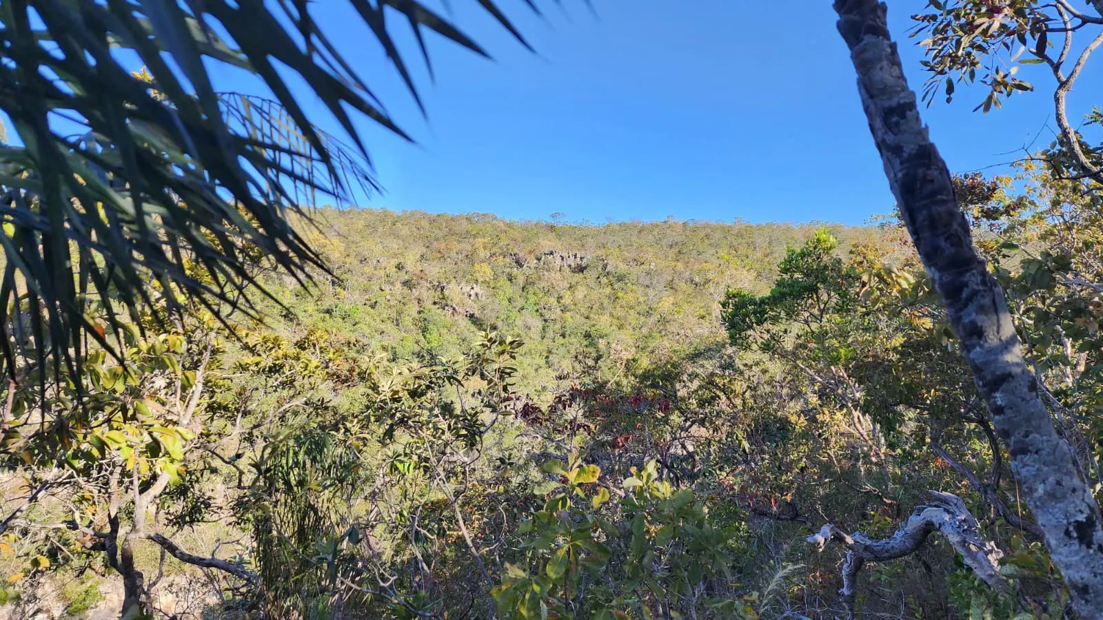 Fazenda à venda de 8.100 ha em Alto Paraíso de Goiás, GO, Brasil