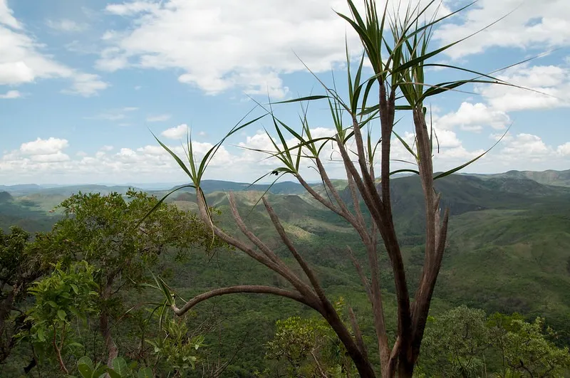 Fazenda à venda de 8.100 ha em Alto Paraíso de Goiás, GO, Brasil