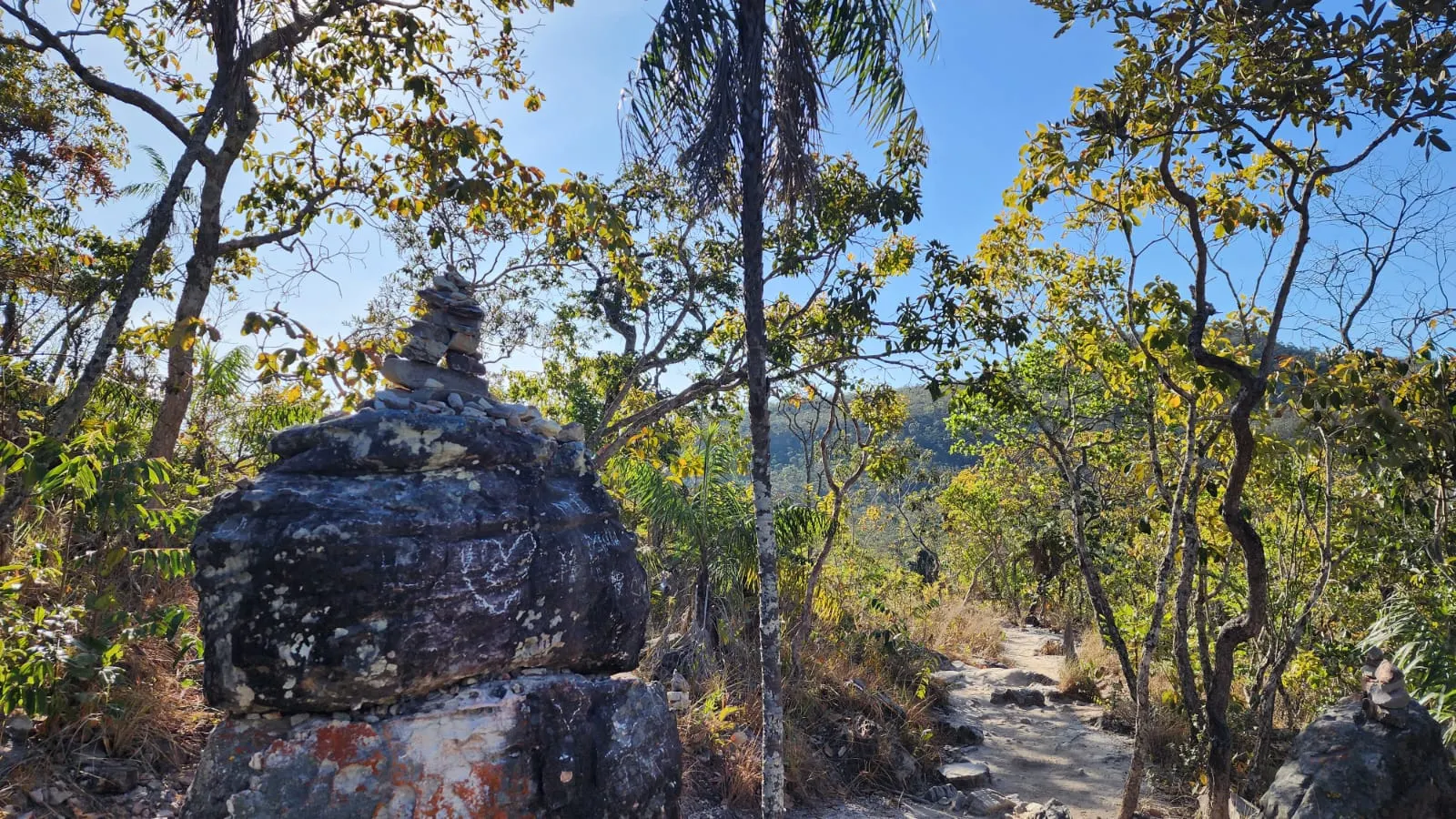 Fazenda à venda de 8.100 ha em Alto Paraíso de Goiás, GO, Brasil