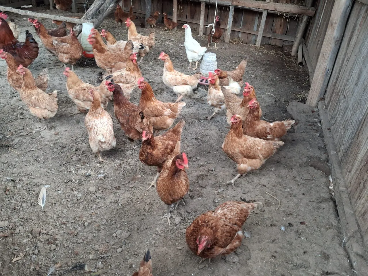 Pousada à venda de 2 ha em São José do Barreiro, SP, Brasil
