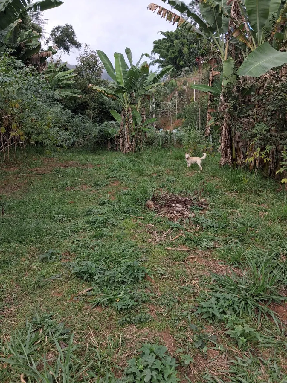 Pousada à venda de 2 ha em São José do Barreiro, SP, Brasil