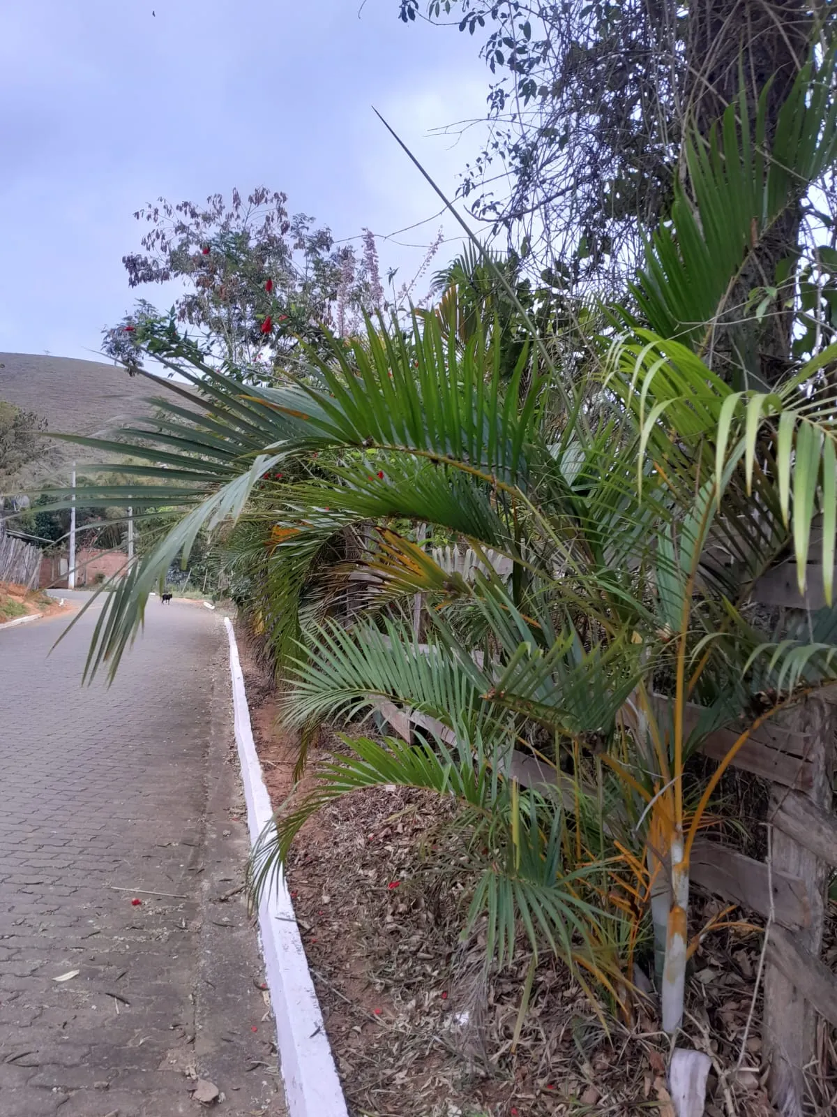 Pousada à venda de 2 ha em São José do Barreiro, SP, Brasil