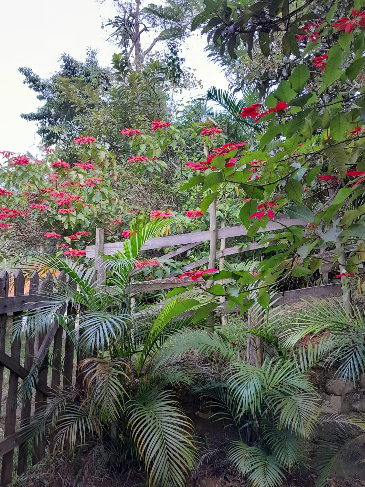 Pousada à venda de 2 ha em São José do Barreiro, SP, Brasil