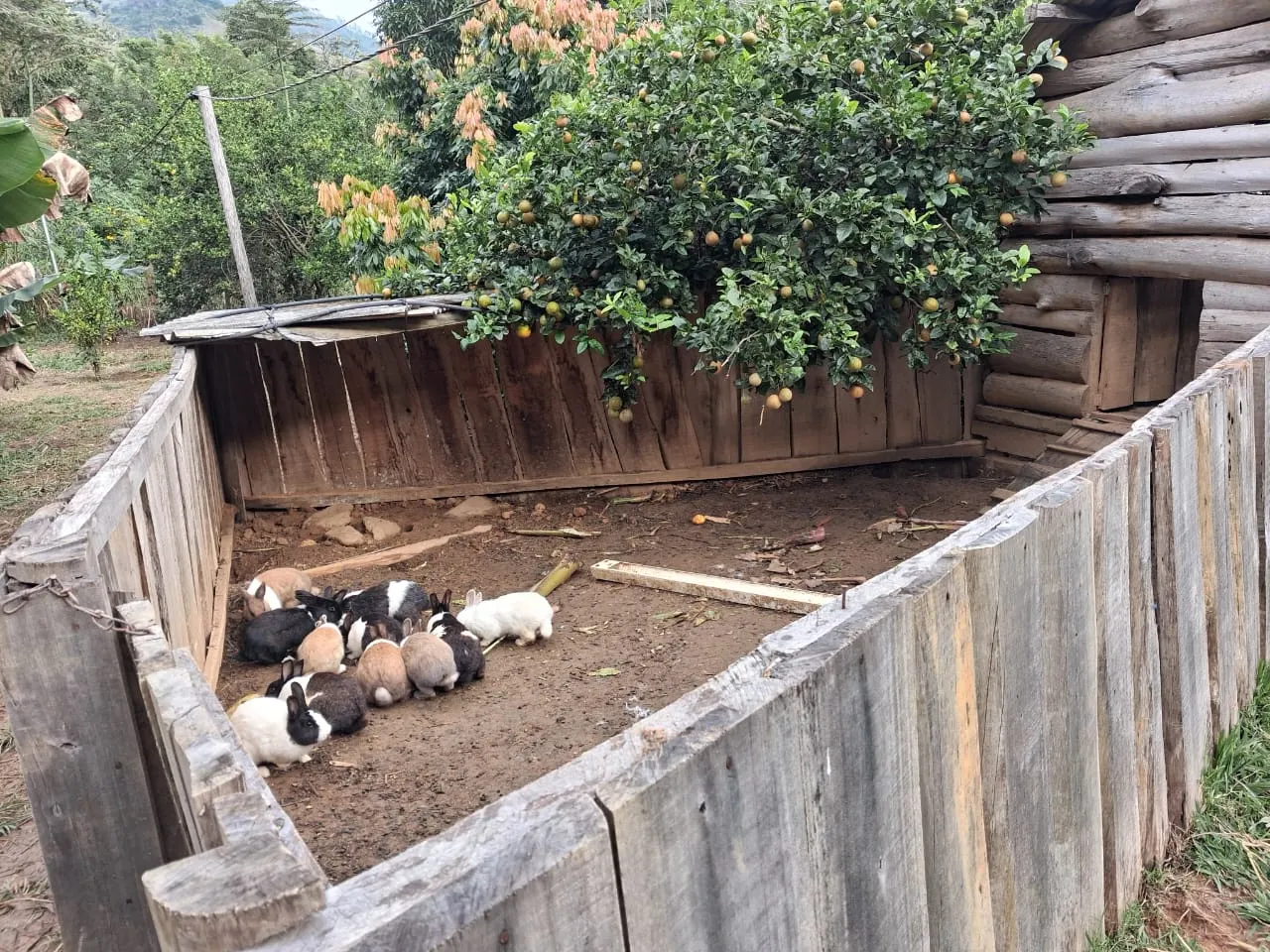 Pousada à venda de 2 ha em São José do Barreiro, SP, Brasil