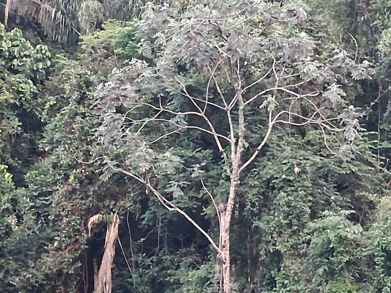 Pousada à venda de 2 ha em São José do Barreiro, SP, Brasil