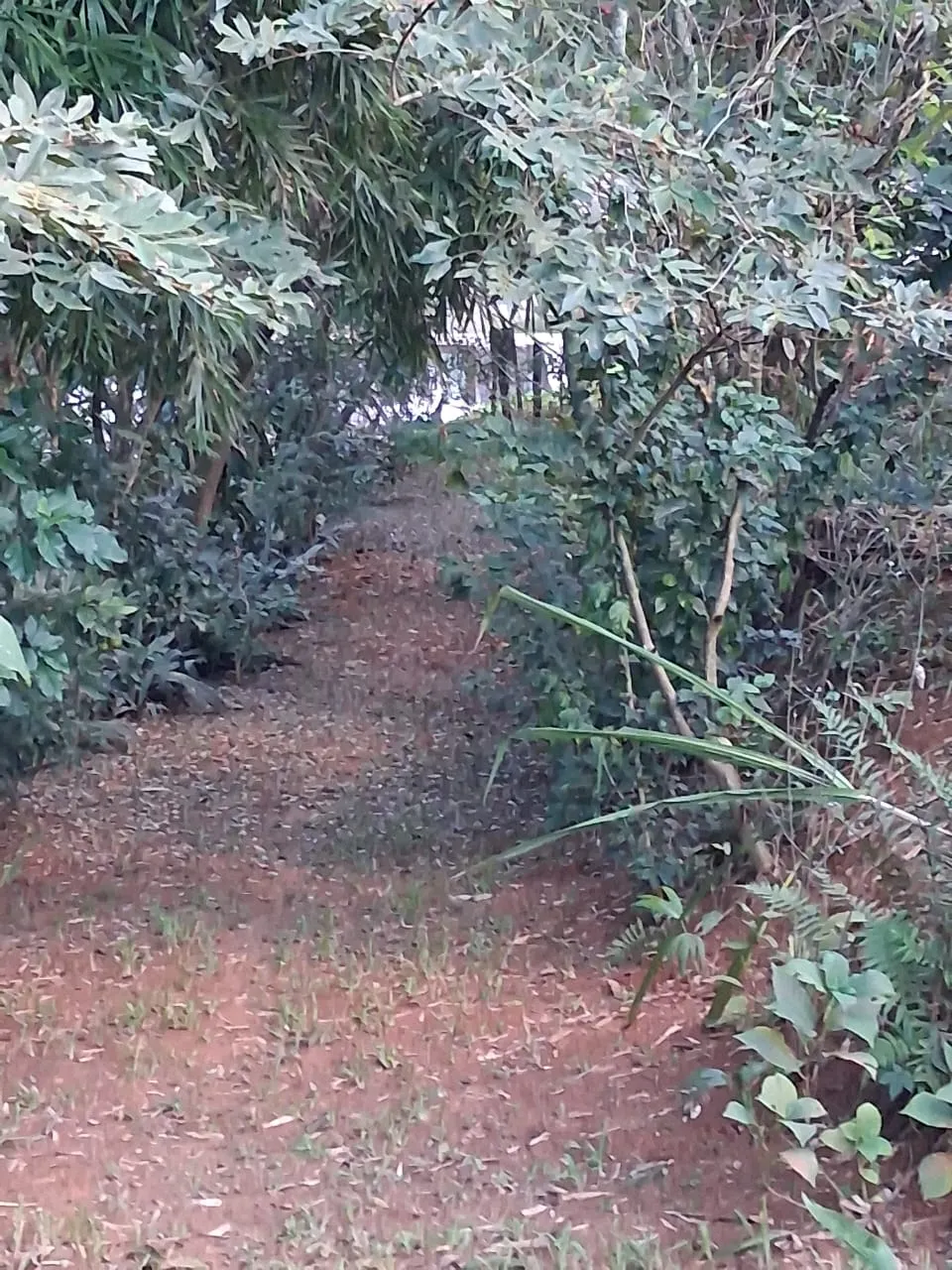 Pousada à venda de 2 ha em São José do Barreiro, SP, Brasil