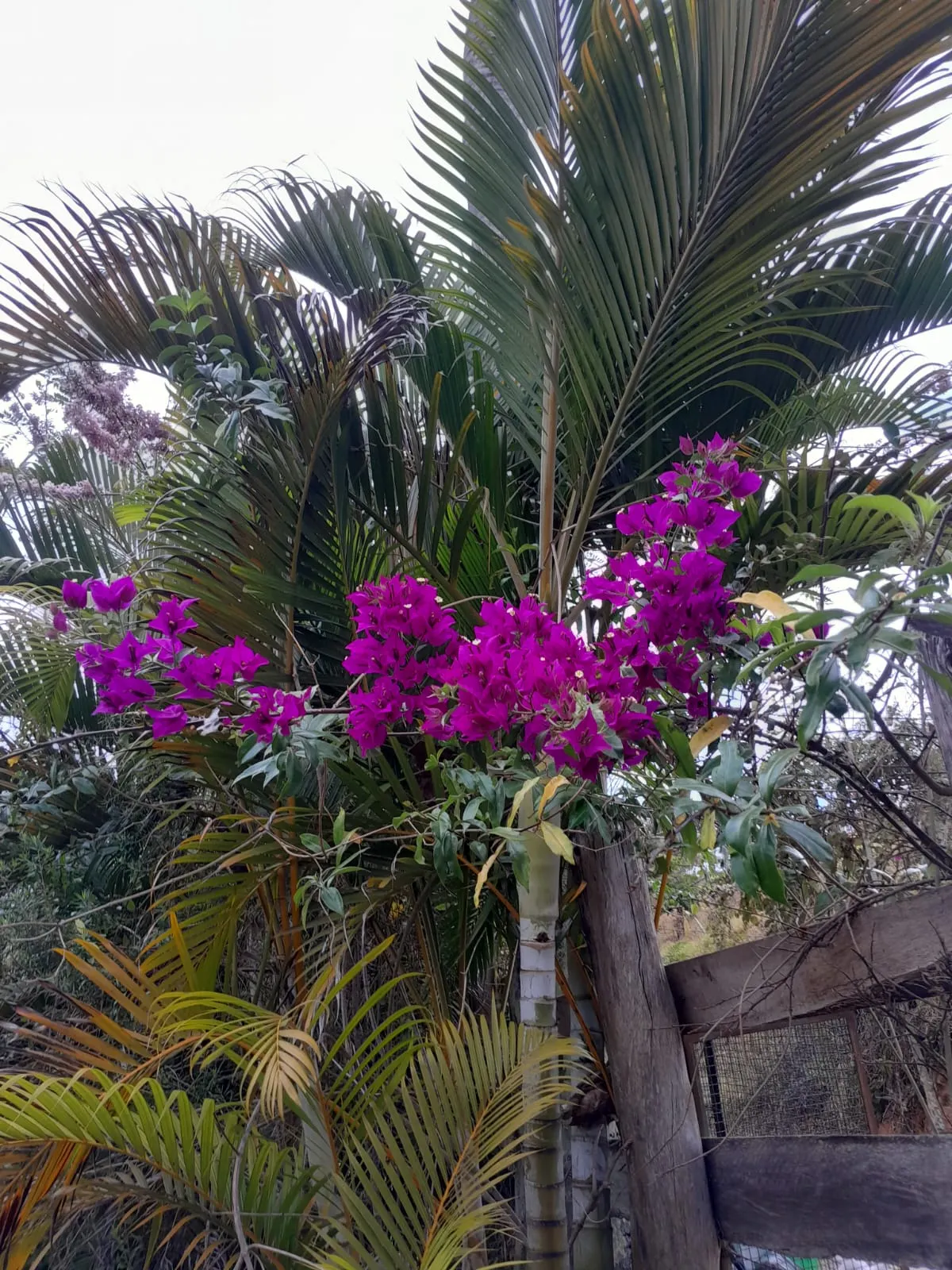 Pousada à venda de 2 ha em São José do Barreiro, SP, Brasil