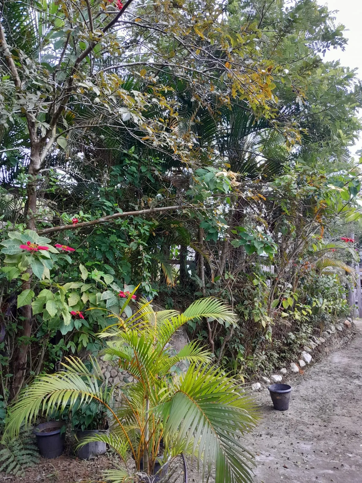 Pousada à venda de 2 ha em São José do Barreiro, SP, Brasil