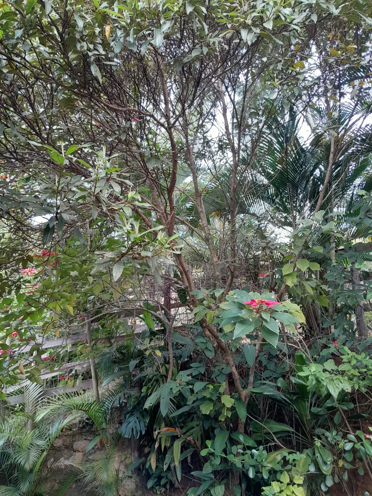 Pousada à venda de 2 ha em São José do Barreiro, SP, Brasil