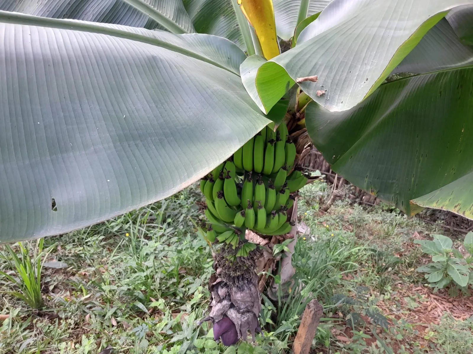 Pousada à venda de 2 ha em São José do Barreiro, SP, Brasil