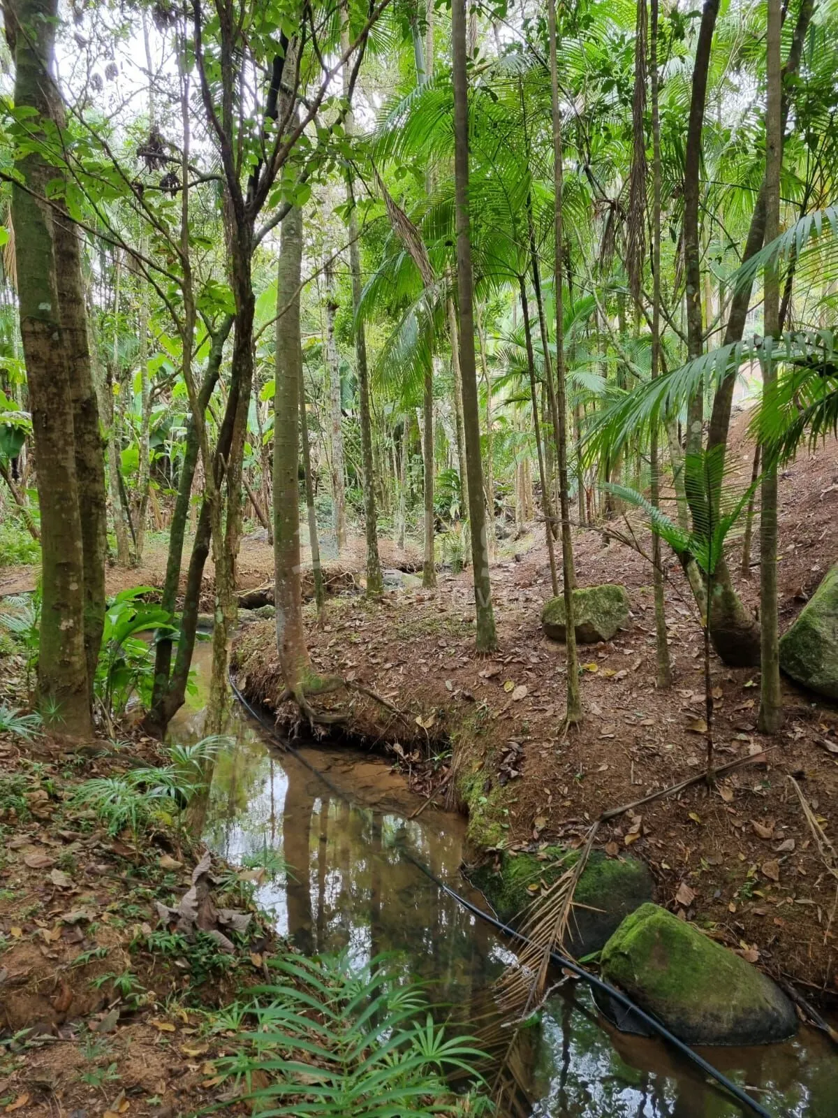 Terreno à venda de 4.468 m² em Nova Trento, SC, Brasil