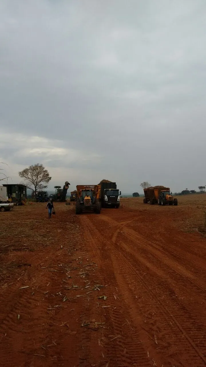 Fazenda à venda e para Arrendar de 3.086 ha em Presidente Prudente, SP, Brasil