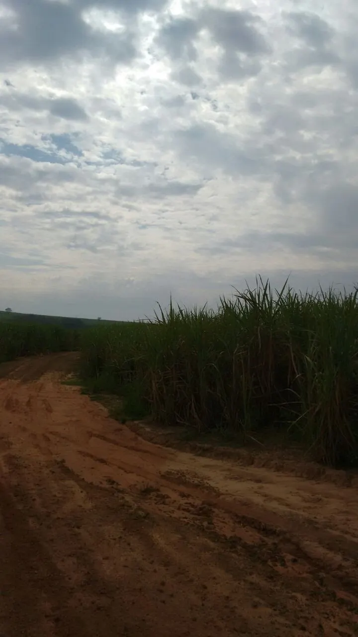 Fazenda à venda e para Arrendar de 3.086 ha em Presidente Prudente, SP, Brasil