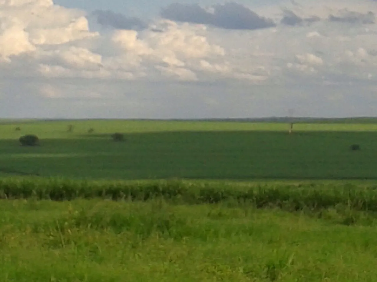 Fazenda à venda e para Arrendar de 3.086 ha em Presidente Prudente, SP, Brasil