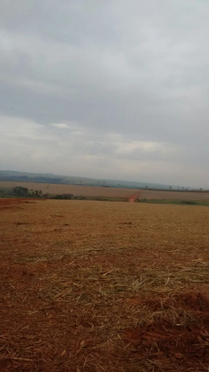 Fazenda à venda e para Arrendar de 3.086 ha em Presidente Prudente, SP, Brasil