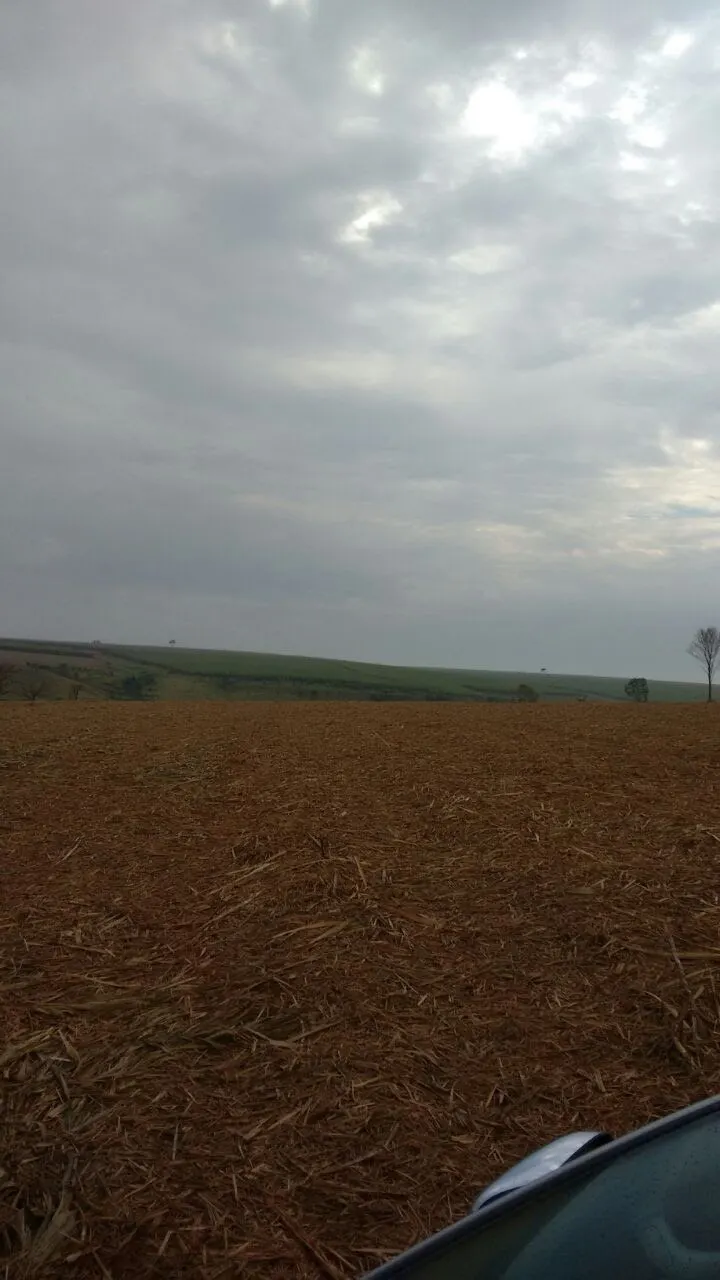 Fazenda à venda e para Arrendar de 3.086 ha em Presidente Prudente, SP, Brasil