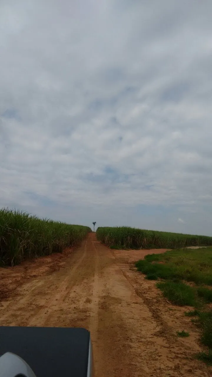 Fazenda à venda e para Arrendar de 3.086 ha em Presidente Prudente, SP, Brasil