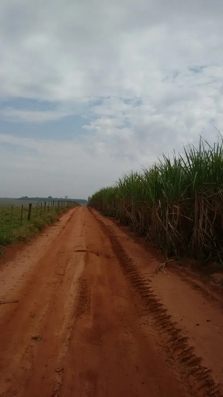 Fazenda à venda e para Arrendar de 3.086 ha em Presidente Prudente, SP, Brasil