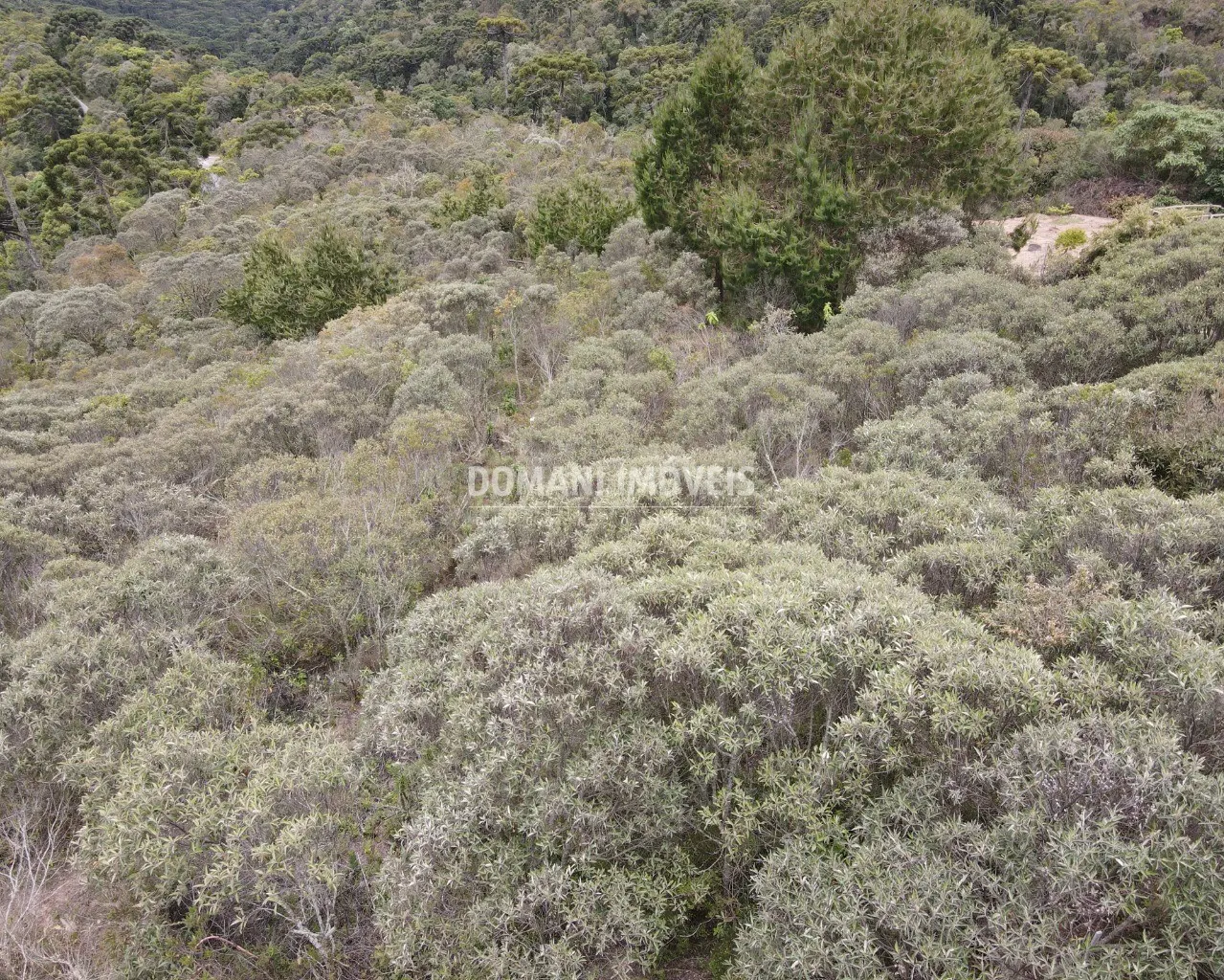 Terreno à venda de 1.400 m² em Campos do Jordão, SP, Brasil