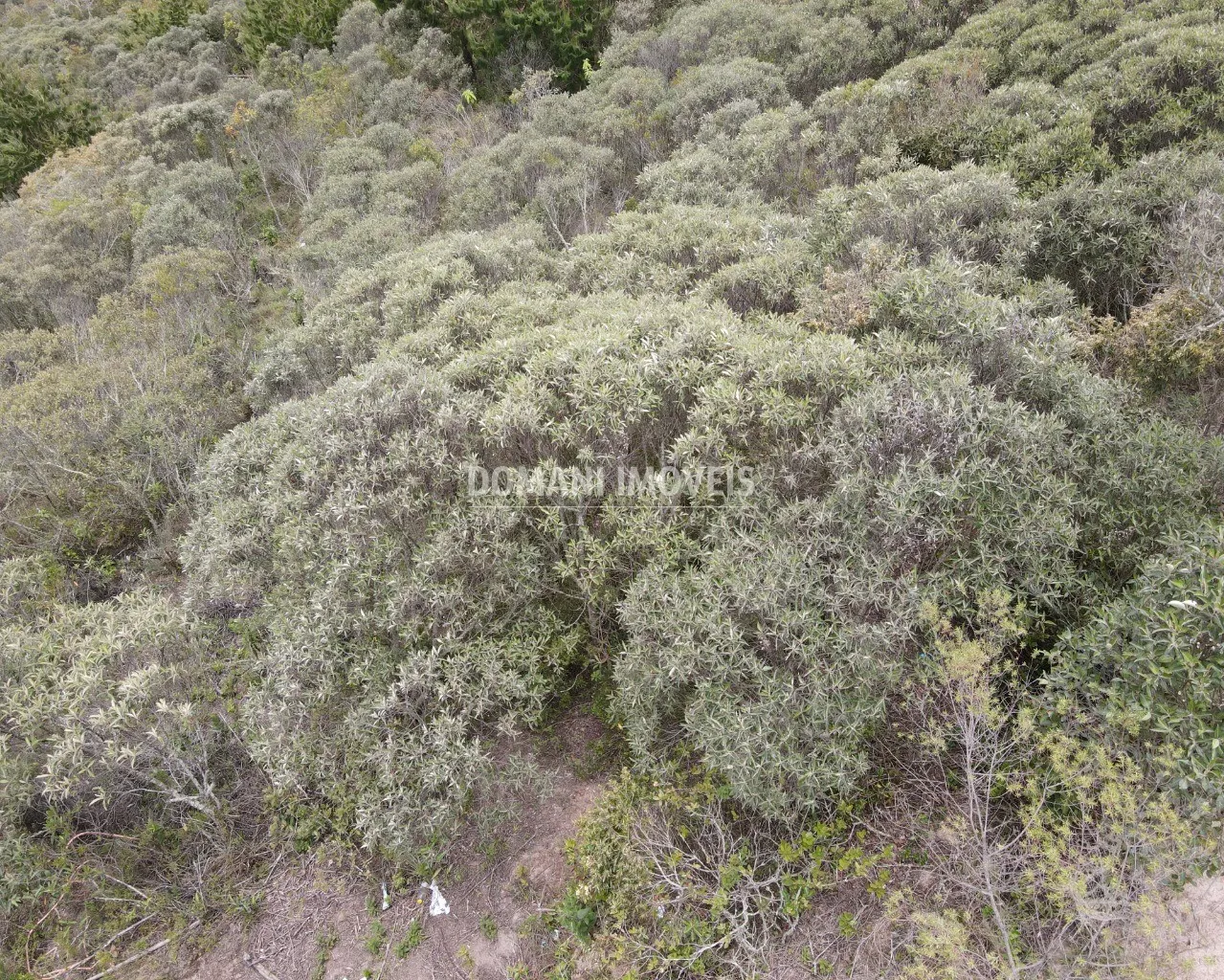 Terreno à venda de 1.400 m² em Campos do Jordão, SP, Brasil