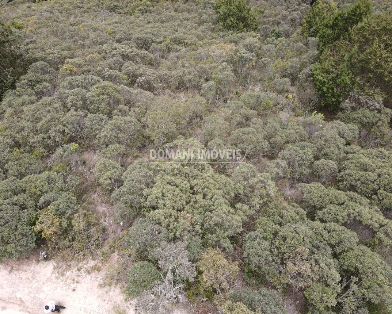 Terreno à venda de 1.400 m² em Campos do Jordão, SP, Brasil