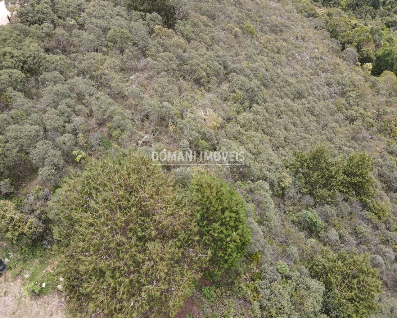 Terreno à venda de 1.400 m² em Campos do Jordão, SP, Brasil