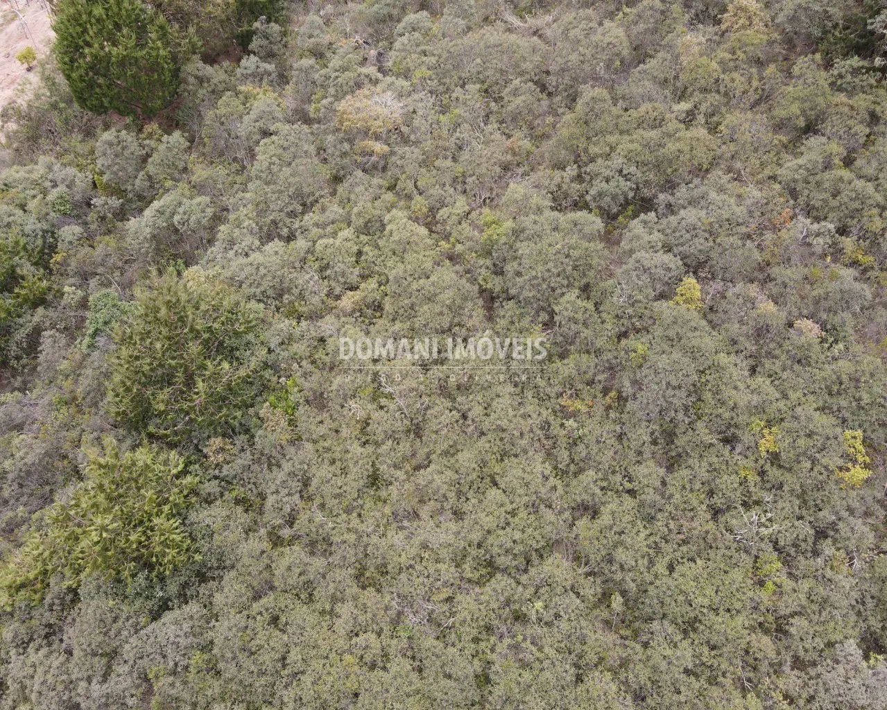 Terreno à venda de 1.400 m² em Campos do Jordão, SP, Brasil