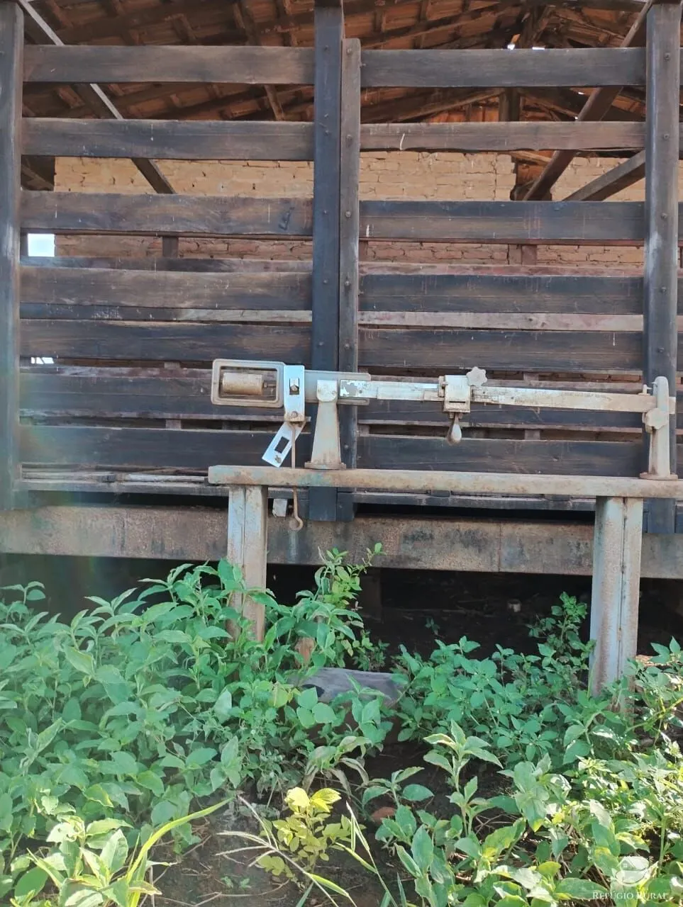 Fazenda à venda de 4.000 ha em Jaíba, MG, Brasil