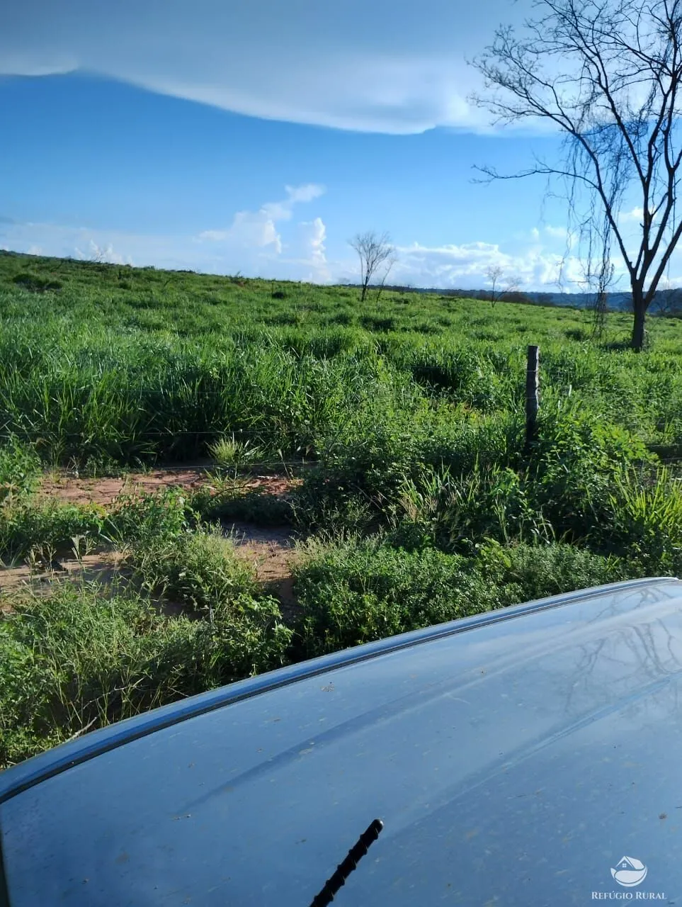 Fazenda à venda de 4.000 ha em Jaíba, MG, Brasil