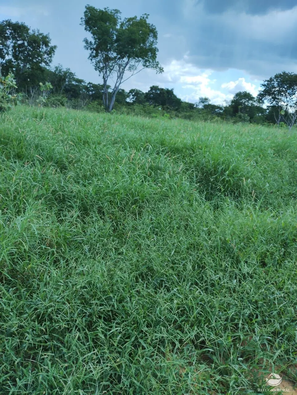 Fazenda à venda de 4.000 ha em Jaíba, MG, Brasil