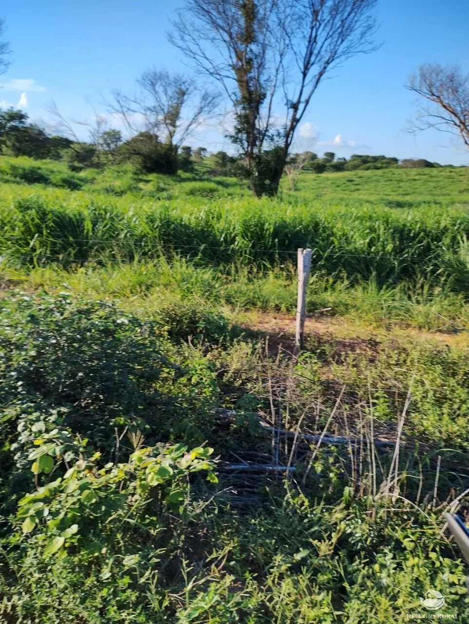 Fazenda à venda de 4.000 ha em Jaíba, MG, Brasil