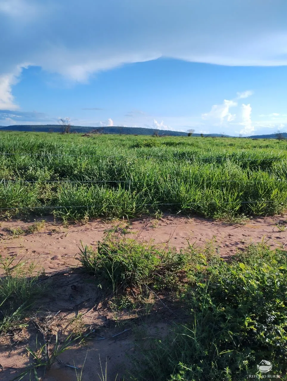 Fazenda à venda de 4.000 ha em Jaíba, MG, Brasil