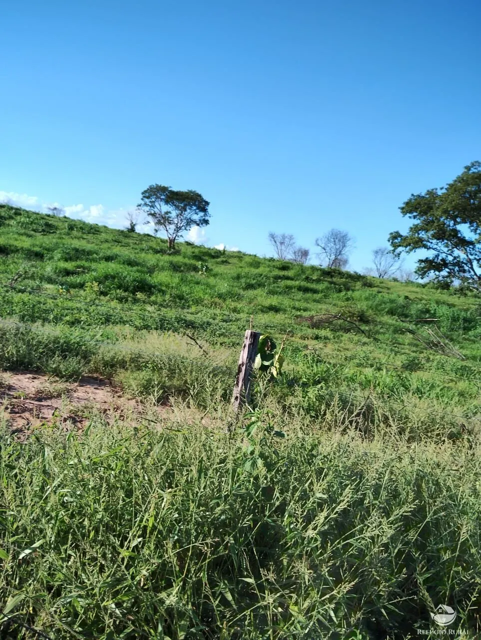 Fazenda à venda de 4.000 ha em Jaíba, MG, Brasil