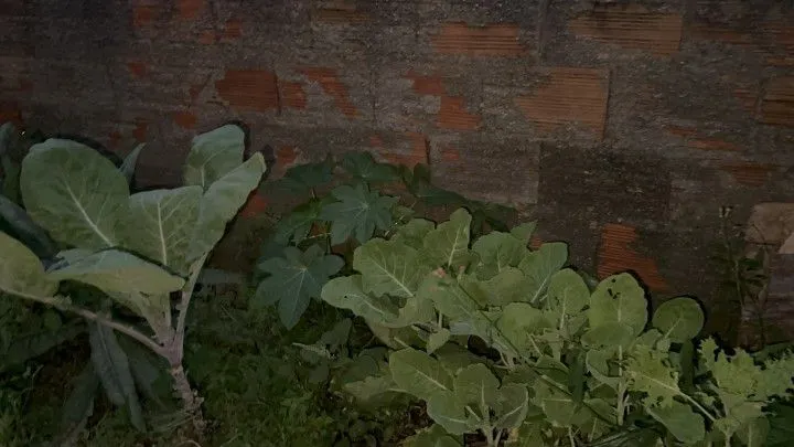 Chácara à venda de 315 m² em Jaguaruna, SC, Brasil