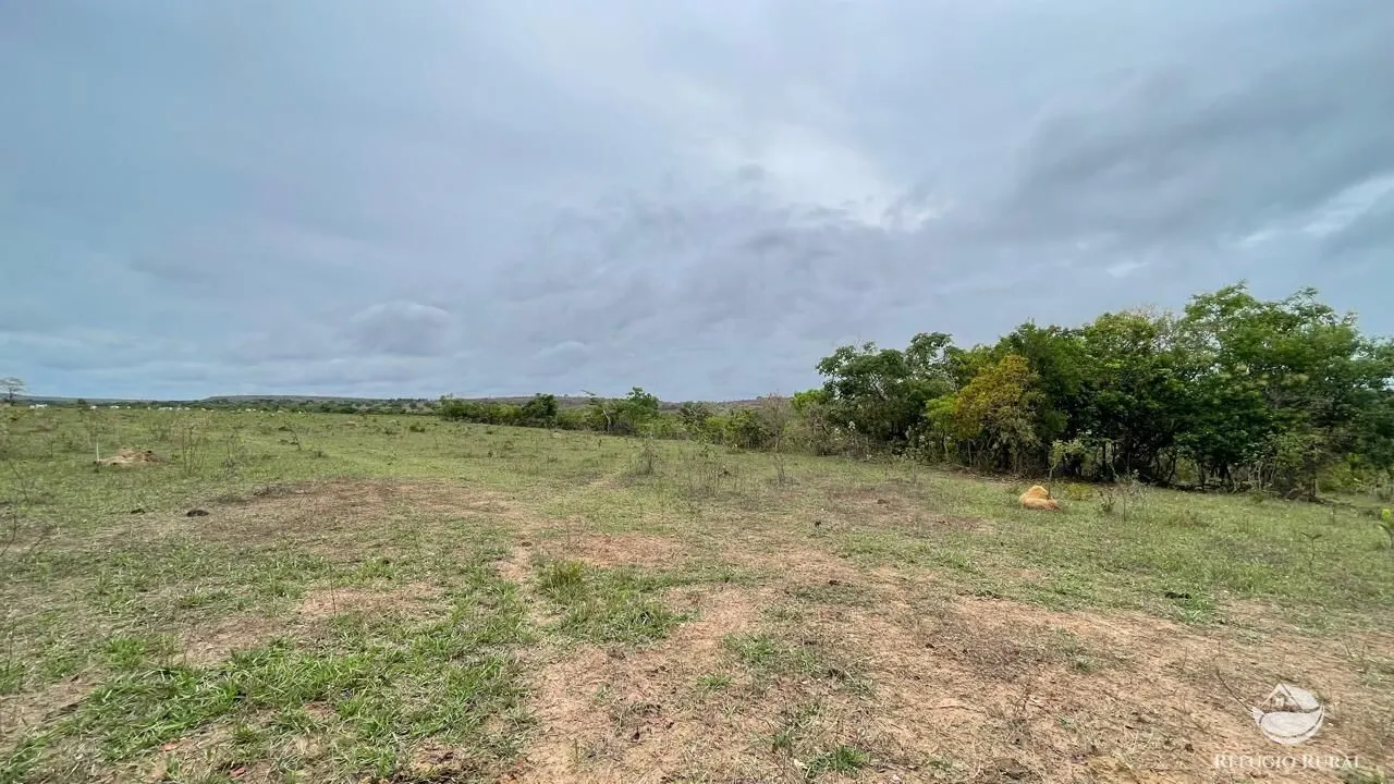 Fazenda à venda de 6.300 ha em Bonfinópolis de Minas, MG, Brasil