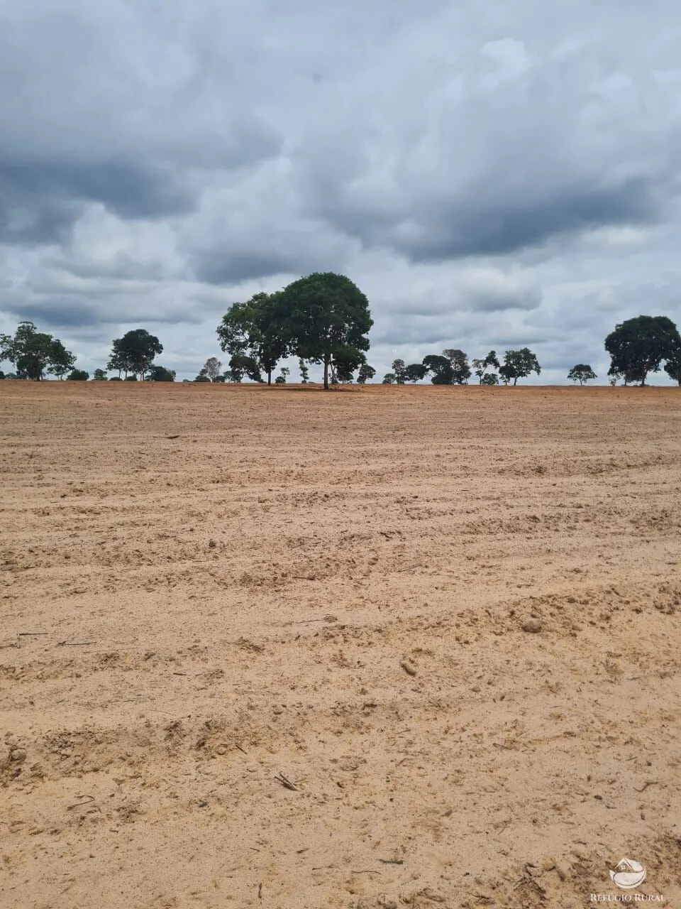 Fazenda à venda de 6.300 ha em Bonfinópolis de Minas, MG, Brasil