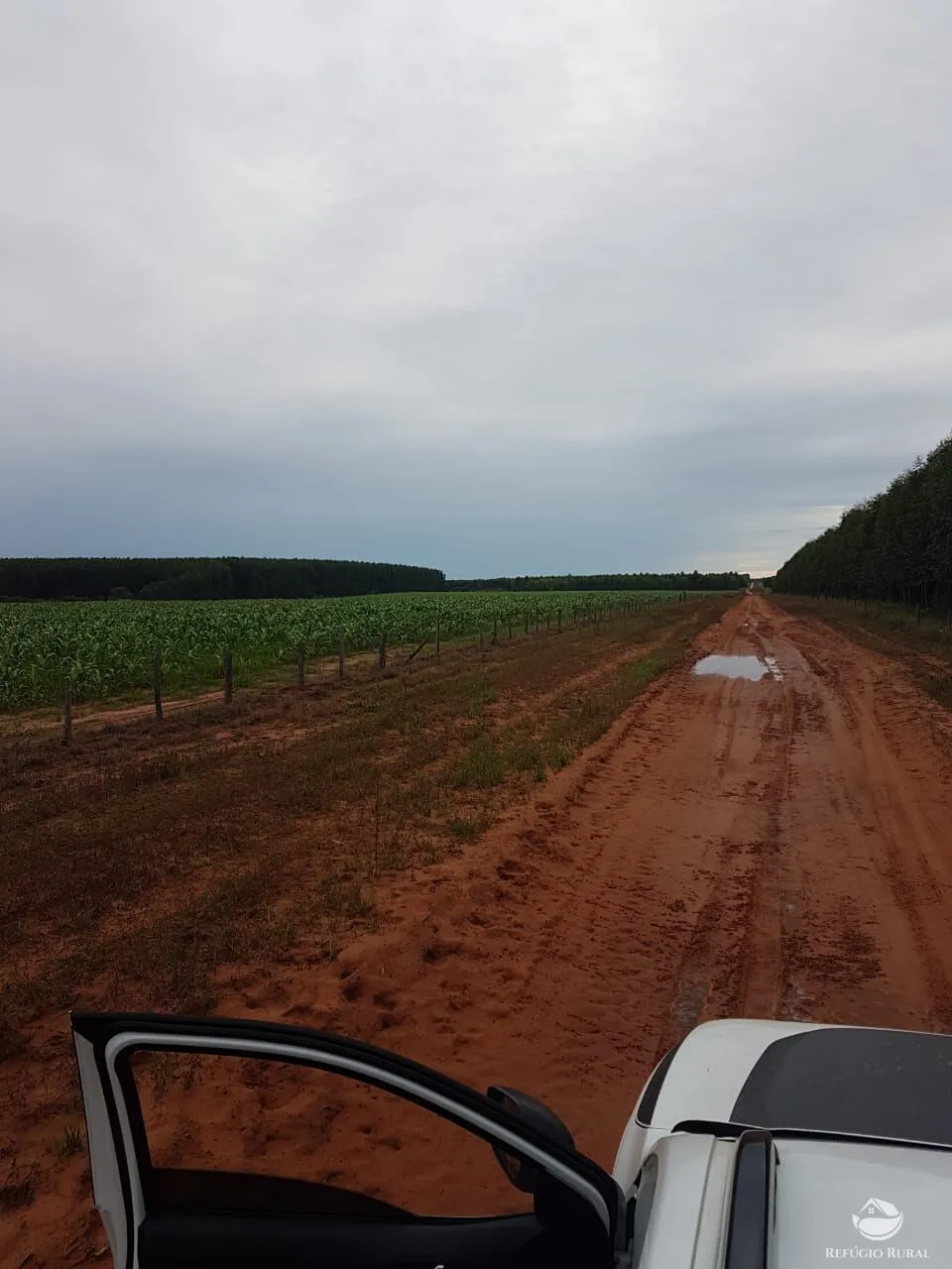 Fazenda à venda de 6.300 ha em Bonfinópolis de Minas, MG, Brasil