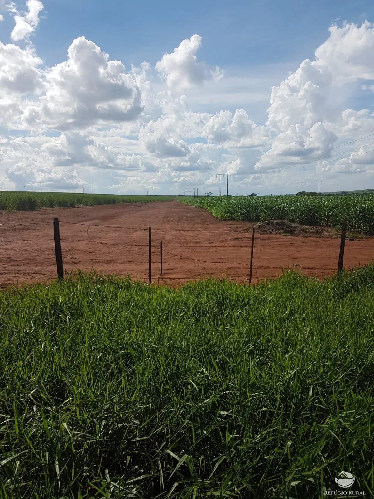 Fazenda à venda de 6.300 ha em Bonfinópolis de Minas, MG, Brasil